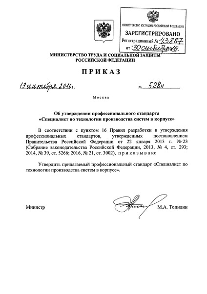 Приказ 528н Об утверждении профессионального стандарта 
