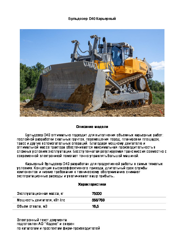     D40 