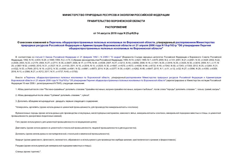           ,             21  2006  N 19-/163- "        "