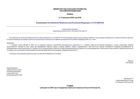        31.01.2009 N 80